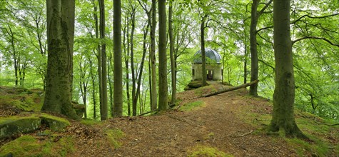 Pavilion from 1593 at the Kleiner Winterberg mountain surrounded by old beech forest