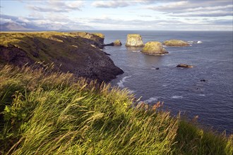 Coastal landscape