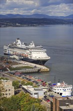 Cruise ship MS Veendam anchors in port