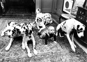 Baby with Dalmatians in the living room