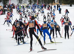 Cross-country skiers at the Engadin Skimarathon in the Stazer Wald