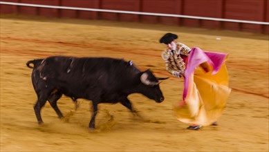 Racing bull with matador