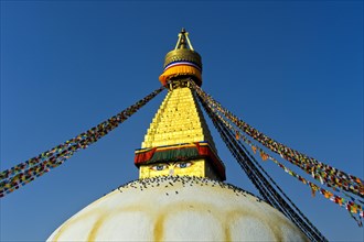 Boudhanath Stupa with birds