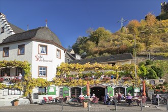 Cafe Restaurant Haus Burg Metternich
