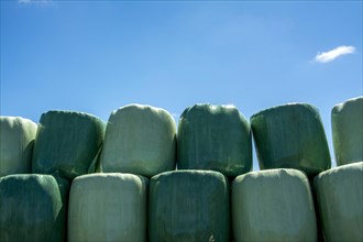 Bales wrapped in green plastic