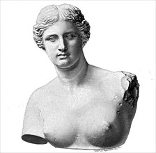 The Venus of Milo also Aphrodite of Melos