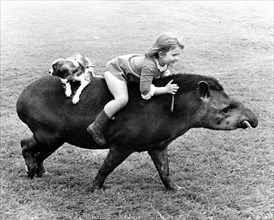 Girl and dog riding on Tapir