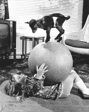 Child playing with a big ball with a little goat standing on it