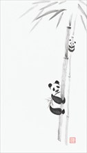 Cute big panda and a baby panda climbing bamboo trees
