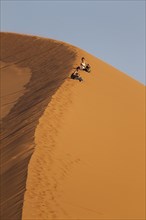 Tourists having fun at Dune 45 in the Namib Desert