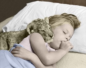 Little girl sleeps with baby lion in a bed
