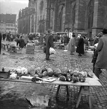 Stand with savoy cabbage on a marketplace at Freiburg Cathedral