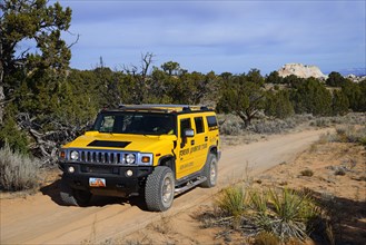 Yellow Hummer driving on a sand track to White Pocket Canyon