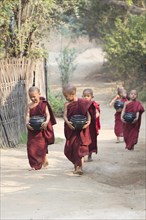 Young monks on their morning traditionell alms rounds