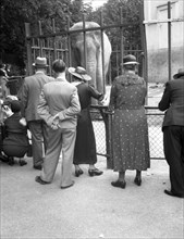 Visitors are watching an elephant. around 1950