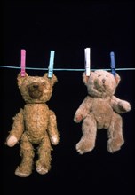 Teddy bears on clothesline