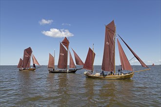 Zeesboots on Saaler Bodden