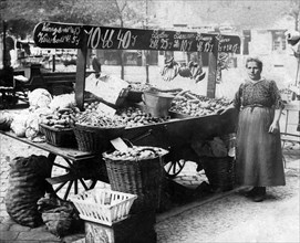Market woman sells vegetables at market stall