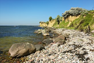 Baltic Sea coast in spring