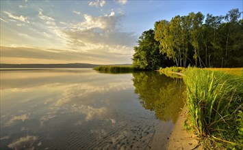 Bathing place at Lake Scharmutzelsee