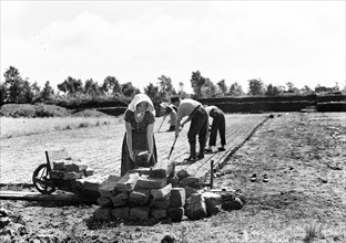 Agriculture