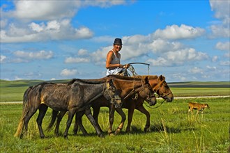 Shepherd rides with horses in the steppe