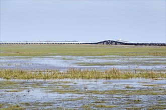 Thalesap Songkhla bridge