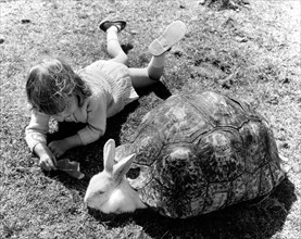 Girl and a bunny playing with a turtle shell