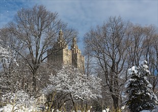 San Remo Building seen through snowy trees of Central Park in winter