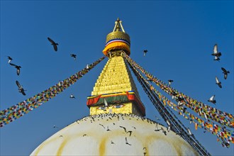 Boudhanath Stupa with a flock of pigeons flying in the sky