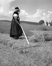 Woman turning back mown grass