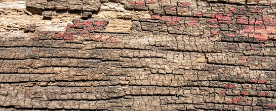 Weathered wood with red colour residues