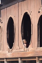 Young novice monks at Shwe Yaunghwe Kyaung monastery