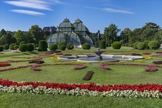 Palm House