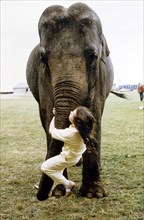 Girl swings at the elephant's trunk