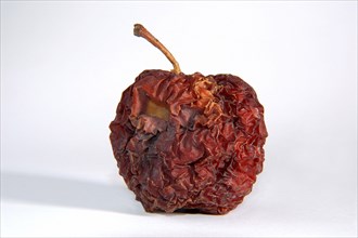 Shriveled dried apple