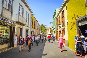 Lively alley with typical colorful houses in the pedestrian area