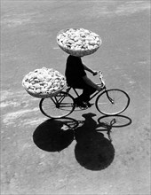 Cyclists transport buns