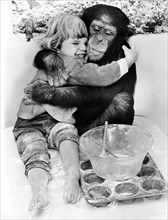 Chimpanzee hugs little girl
