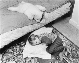 Little polar bear cub and a girl sleeping