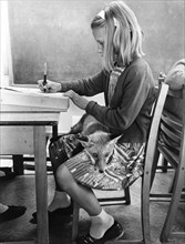 Girl with a fox in school
