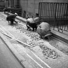 Road workers paving a road with natural stones