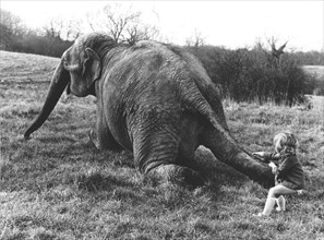 Girl pulls elephant on tail