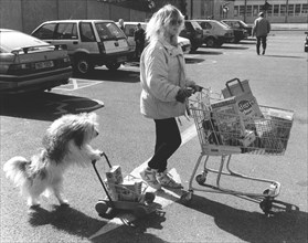 Dog pushes shopping cart