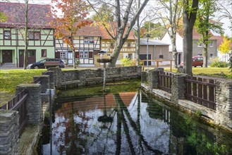 Karstquelle Muhlberger Spring