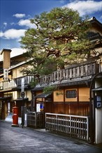 Traditional tea house with pine tree above the store front at Hanamikoji Dori street in Gion district in morning