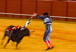 Matador with bull