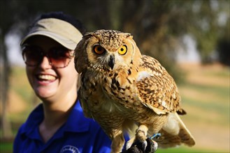 Falconer holds Eagle Owl at Al Wadi Desert Hotel