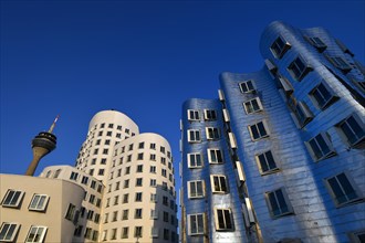 Rhine Tower with Gehry buildings