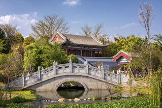 Traditional Chinese bridge and temple